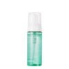 Dutch Tea Bubble Cleanser